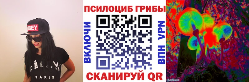 Галлюциногенные грибы Psilocybine cubensis  Сельцо 