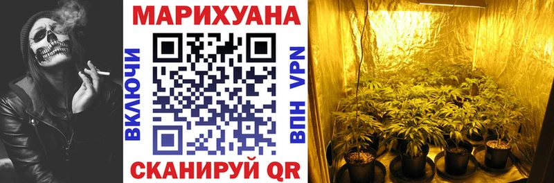 Каннабис сатива  Сельцо 